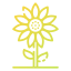 Sunflower アイコン 64x64