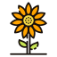 Sunflower アイコン 64x64