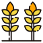 Wheat icon 64x64