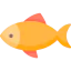 Fish icon 64x64
