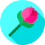 Rose icon 64x64