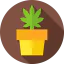 Marijuana icon 64x64
