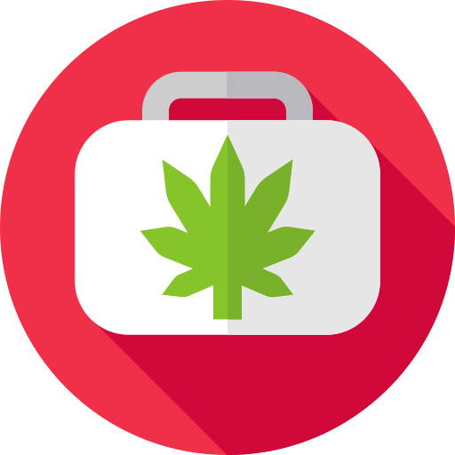 Suitcase icon