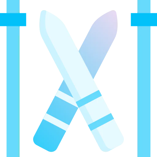Skii icon