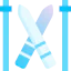 Skii icon 64x64