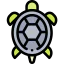 Turtle icône 64x64