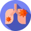 Lungs Ikona 64x64