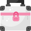 Cosmetic bag icon 64x64