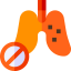 Lungs ícono 64x64