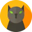 Cat icon 64x64