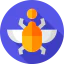 Scarab icon 64x64