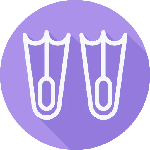 Flipper icon