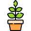 Plant icon 64x64
