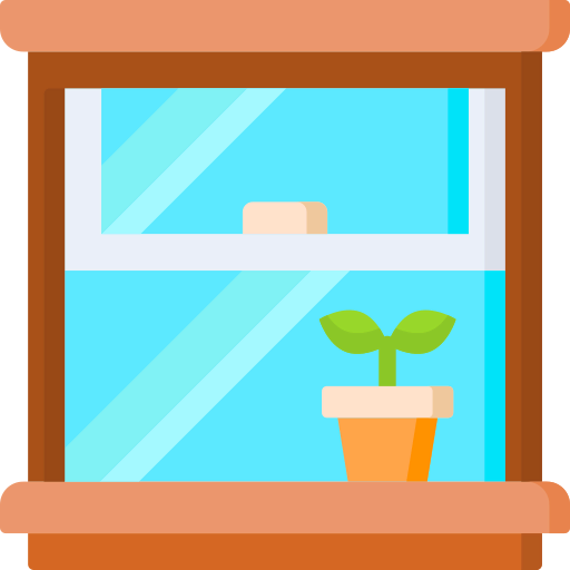 Window icon