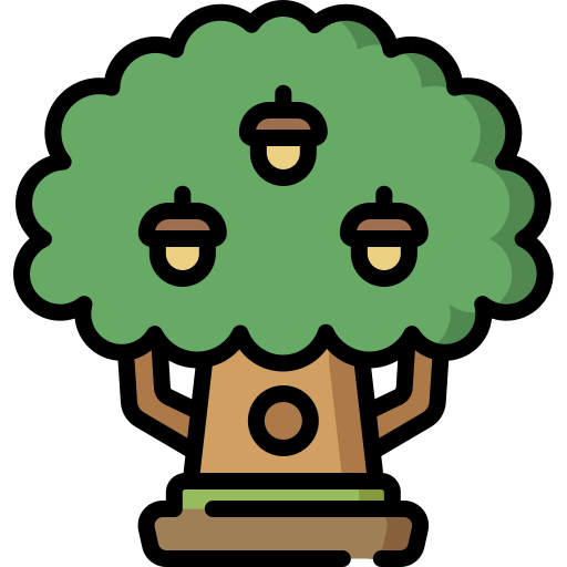 Oak icon