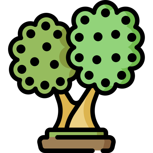 Olive icon