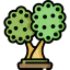 Olive icon 64x64