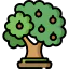 Walnut icon 64x64