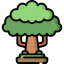 Sycamore icon 64x64