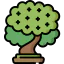 Beech icon 64x64