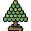 Cedar icon 64x64