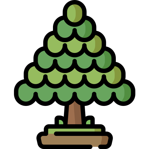 Cedar icon