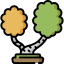 Birch icon 64x64