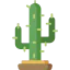 Cactus icon 64x64