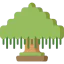 Banyan icon 64x64