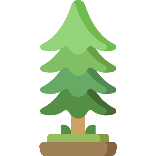 Fir icon