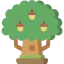 Oak іконка 64x64