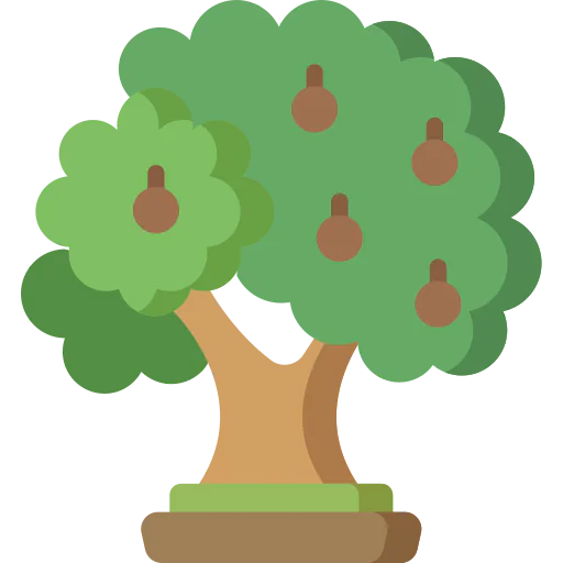 Walnut icon