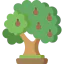 Walnut icon 64x64