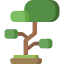 Bonsai іконка 64x64