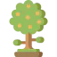 Orange tree Symbol 64x64