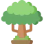 Sycamore icon 64x64