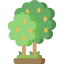 Lemon tree icon 64x64