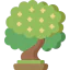 Beech icon 64x64