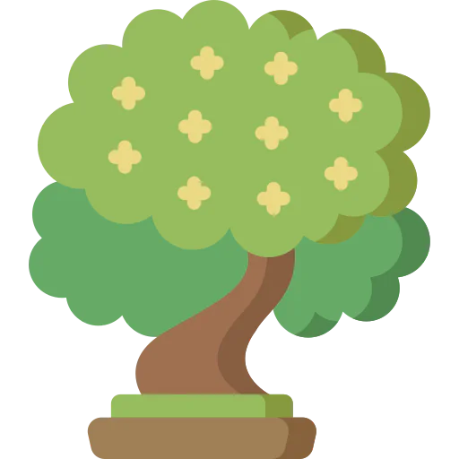 Beech icon