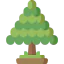 Cedar icon 64x64