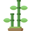 Bamboo icon 64x64