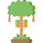 Cocoa tree icon 64x64