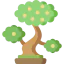 Walnut tree icon 64x64