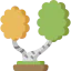 Birch icon 64x64
