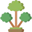Cinnamon tree icon 64x64