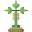 Papaya icon 64x64