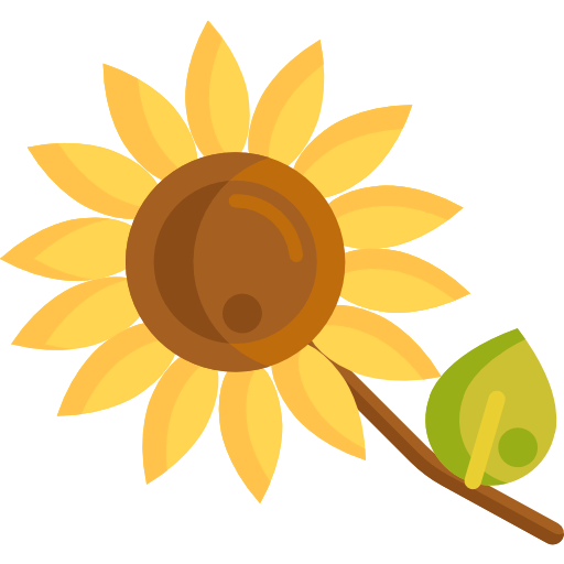 Sunflower icon
