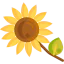 Sunflower アイコン 64x64