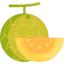 Дыня иконка 64x64