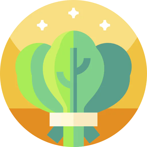 Spinach icon